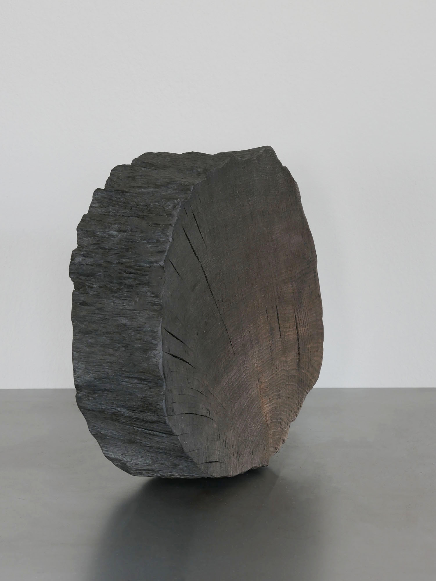 Bog oak trunk section standing upright